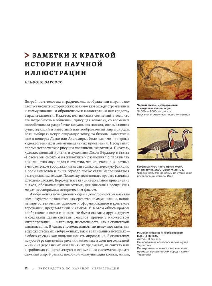 Profession - Scientific Illustrator. Guide to Illustration in Biology, Archaeology and Paleoart